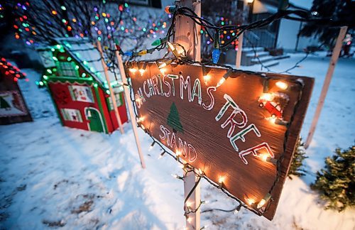 JOHN WOODS / FREE PRESS
Jen de Delley and her husband Victor Diduch set up their Christmas Village at their house in River Heights Sunday, December 1, 2024. They have building and adding to it for the past 18 years.

Reporter: av