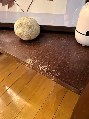 Marc LaBossiere / Free Press
Molly left her mark on the bottom shelf of a console table.