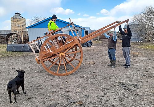 Terry Doerksen / For the Free Press
Ox ‘guru’ Dennis Scott (second from right) and cart maker Phil Doerksen (right) test out the oxcart with Terry Doerksen in the driver’s seat.