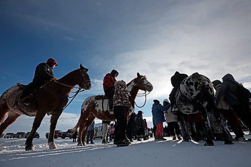 03122024
Sioux Valley Dakota Nation's Unity Riders mingle with students from Birdtail Sioux First Nation while preparing to escort 11 bison (often referred to as buffalo in Dakota culture) through Birdtail to their new home in a pen in the First Nation&#x2019;s valley on Tuesday. The bison, including one white bison, are a gift to Birdtail from Sioux Valley. School children, elders, dignitaries and other community members all came out to celebrate the arrival of the bison. The bison, or buffalo, carry important spiritual and cultural significance amongst many First Nations. (Tim Smith/The Brandon Sun)