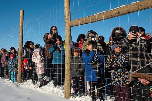 03122024
Community members crowd around the bison enclosure at Birdtail Sioux First Nation to watch as 11 bison, including one white bison, gifted to Birdtail by Sioux Valley Dakota Nation are released into their new enclosure on Tuesday. White bison are considered sacred by many First Nations and bison as a whole hold special cultural and spiritual significance. The bison were escorted through the community by the Sioux Valley Dakota Nation Unity Riders.    (Tim Smith/The Brandon Sun)