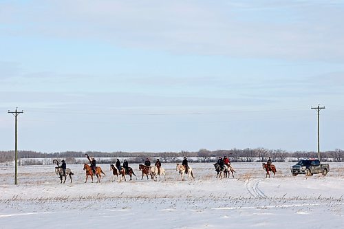 03122024
The Sioux Valley Dakota Nation Unity Riders lead the way to escort 11 bison (often referred to as buffalo in Dakota culture) through Birdtail Sioux First Nation to their new home in an enclosure in Birdtail&#x2019;s valley on Tuesday. The bison, including one white bison, were a gift to Birdtail from Sioux Valley. 
(Tim Smith/The Brandon Sun)