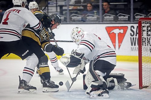 Easton Odut of the Brandon Wheat Kings tries to get the puck past goalie Peyton Shore of the Red Deer Rebels during WHL action at Westoba Place on Friday evening. (Tim Smith/The Brandon Sun)