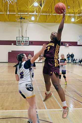 06122024
Rebecca Adiamo #2 of the Crocus Plainsmen leaps to take a shot on the net during the Plainsmen&#x2019;s opening match against the Virden Bears in the Crocus Plains Early Bird Varsity Girls Basketball Tournament at CPRSS on Friday morning. 
(Tim Smith/The Brandon Sun)
