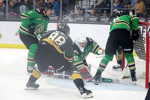 07122024
Matteo Michels #88 of the Brandon Wheat Kings digs at the loose puck to slip it past goalie Dimitri Fortin #33 of the Prince Albert Raiders for a goal during WHL action at Westoba Place on Saturday evening. 
(Tim Smith/The Brandon Sun)