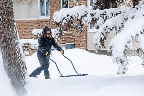 MIKE DEAL / FREE PRESS
Diane Dorge shovels snow from her driveway underneath a heavily laden tree.
Residences of St. Norbert start to dig out their driveways Monday morning after about 18cm of snow fell in the last 24 hours.
Standup
241209 - Monday, December 09, 2024.