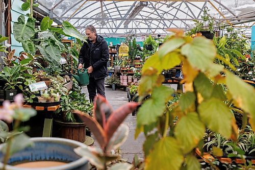 MIKE DEAL / FREE PRESS
Dave Hanson, owner of Sage Garden Greenhouses (3410 St. Mary&#x2019;s Road) has noticed a significant decrease in customers this fall and winter. Dave believes it&#x2019;s because customers are getting confused by the new St. Mary&#x2019;s Road interchange. He and other entrepreneurs in the area have decried the lack of signage.
Reporter: Gabriele Piche
241209 - Monday, December 09, 2024.