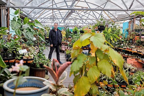 MIKE DEAL / FREE PRESS
Dave Hanson, owner of Sage Garden Greenhouses (3410 St. Mary&#x2019;s Road) has noticed a significant decrease in customers this fall and winter. Dave believes it&#x2019;s because customers are getting confused by the new St. Mary&#x2019;s Road interchange. He and other entrepreneurs in the area have decried the lack of signage.
Reporter: Gabriele Piche
241209 - Monday, December 09, 2024.