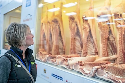 BROOK JONES/FREE PRESS
Cam Ives from Sollio Agriculture looks at hog carcasses displayed at the Pork Quality Competition during the Prairie Livestock Expo at the Victoria Inn in Winnipeg, Man., Wednesday, Dec. 11, 2024.