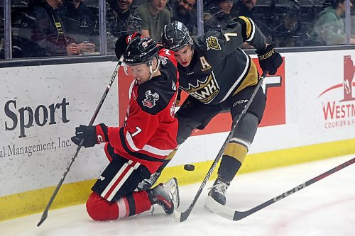 Charlie Elick of the Brandon Wheat Kings battles for the puck against Landen McFadden of the Moose Jaw Warriors during WHL action at Westoba Place on Tuesday evening.
(Tim Smith/The Brandon Sun)