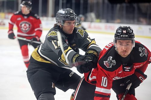 Joby Baumuller of the Brandon Wheat Kings shoves Connor Schmidt of the Moose Jaw Warriors during WHL action at Westoba Place on Tuesday evening.
(Tim Smith/The Brandon Sun)