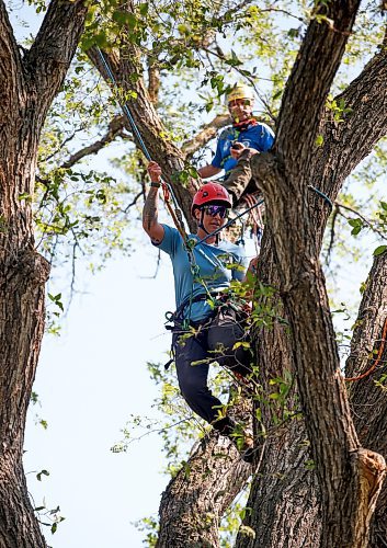 JOHN WOODS / WINNIPEG FREE PRESS
As a judge looks on in the background, Jordyn Dyck competes in the masters climb of the International Society of Arboriculture at Cresent Drive Park in Winnipeg Sunday, August  27, 2023. She is hoping to win and move onto the international competition in Atlanta, Georgia. 

Reporter: standup