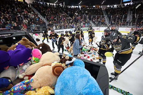 07122024
Volunteers and Brandon Wheat Kings players clean up hundreds of stuffed animals after the Teddy Bear Toss goal  during the first period of WHL action against the Prince Albert Raiders at Westoba Place on Saturday evening. The stuffed animals and other items are collected for Brandon-Westman Christmas Cheer. 
(Tim Smith/The Brandon Sun)