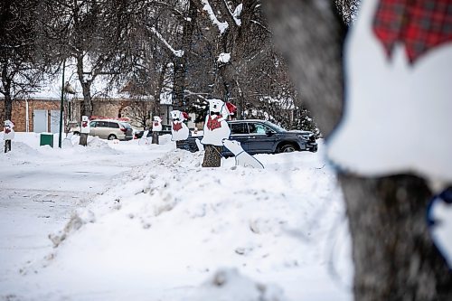 MIKAELA MACKENZIE / FREE PRESS
	
Hennessey Drive, where trees had to be taken down after being damaged while snow clearing, on Thursday, Dec. 19, 2024.

For Joyanne story.
Winnipeg Free Press 2024