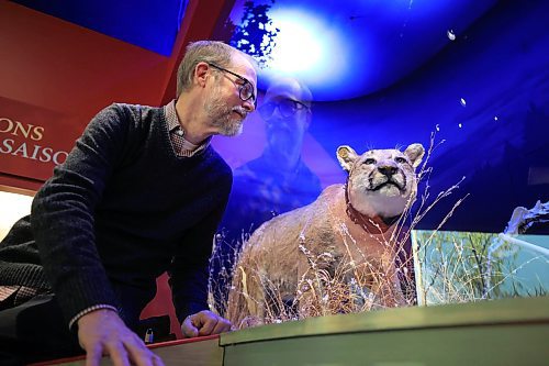 RUTH BONNEVILLE / FREE PRESS

ENT - WIKA - zoology

Randall Mooi, Curator of Zoology, Manitoba Museum at the new cougar exhibit in the museum Thursday. 
&#x2028;Story: What I Know About&#x2026; being a zoologist.  Randall Mooi tells us what a curator of zoology does, talks about the museum&#x2019;s new cougar exhibit, and explains why it&#x2019;s important for us all to learn about the organisms we share the earth with.

AV STORY

Dec 20th, 2024