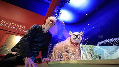 RUTH BONNEVILLE / FREE PRESS

ENT - WIKA - zoology

Randall Mooi, Curator of Zoology, Manitoba Museum at the new cougar exhibit in the museum Thursday. 
&#x2028;Story: What I Know About&#x2026; being a zoologist.  Randall Mooi tells us what a curator of zoology does, talks about the museum&#x2019;s new cougar exhibit, and explains why it&#x2019;s important for us all to learn about the organisms we share the earth with.

AV STORY

Dec 20th, 2024