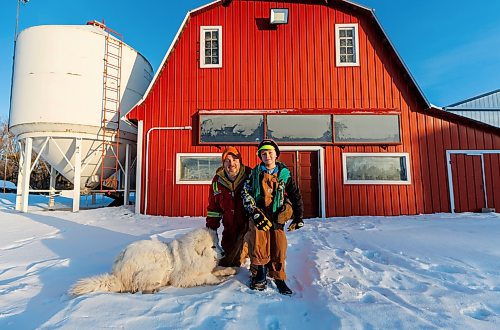 MIKE DEAL / FREE PRESS
Colin Penner, a grain farmer southwest of Winnipeg, with his son Everett, 8, and Pearl, their Great Pyrenees dog. Colin has had to think about the impact of possible tariffs and work on the diversity of his crops, and his stocks of fuel and fertilizer and look at other measures to build resilience in his business.
Reporter: Julia-Simone Rutgers
250131 - Friday, January 31, 2025.