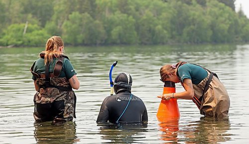 Parks Canada employees are seen conducting visual inspections for signs of zebra mussels near Boat Cove at Clear Lake in July, 2024. Parks Canada announced Tuesday that eradicating zebra mussels from Clear Lake in Riding Mountain National Park is not feasible and this summer, will initiate a “one boat, one lake," initiative. (The Brandon Sun files) 

