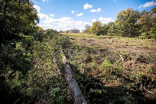MIKAELA MACKENZIE / WINNIPEG FREE PRESS
Piles of trees that were recently taken down by the developer at Lemay Forest on Sept. 24, 2024.
For Joyane story.
Winnipeg Free Press 2024