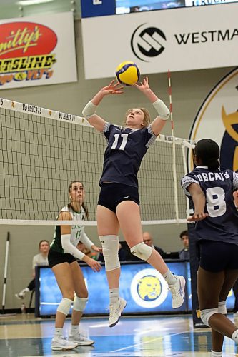 Carly Thomson has one year left with the Bobcats after a career-year, leading all setters in Canada West with 62 kills. (Thomas Friesen/The Brandon Sun)