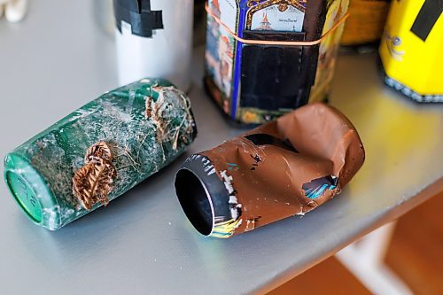 MIKE DEAL / FREE PRESS
Brenda Stuart is a photographer who specializes in solargraphy, a photographic method using a pinhole camera to capture the path of the sun. This is a form of pinhole photography using a long-exposure technique where the arc of the sun&#x2019;s trails are recorded onto photographic paper as the sun&#x2019;s position in the sky changes from solstice to solstice. Images can be made over a day, a week, a month, a year. Or even longer. A clear sunny day will record a strong bright arc across the photo paper. When the days are cloudy or partially cloudy the camera records dots and dashes.
Brenda keeps many of her used pin hole cameras to show how battered they can get when left in the wild for long periods. 
Reporter: AV Kitching
250225 - Tuesday, February 25, 2025.