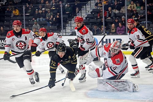 14032025
Marcus Nguyen #72 of the Brandon Wheat Kings trips over goalie Joshua Banini #35 of the Moose Jaw Warriors during WHL action at Westoba Place on Friday evening. (Tim Smith/The Brandon Sun)