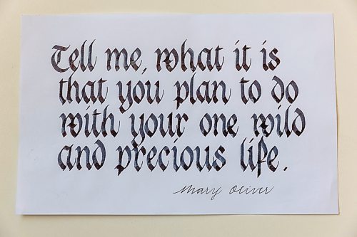 MIKE DEAL / FREE PRESS
Janet Murata a Japanese Canadian professional calligrapher who was a Maker-in-Residence with the Winnipeg Public Library in the fall of 2024.
Some examples of Janets work.
Reporter: AV Kitching
250225 - Tuesday, February 25, 2025.