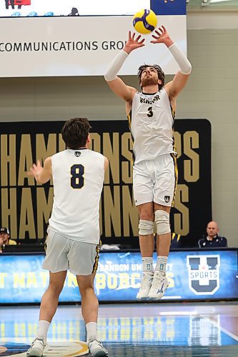 21032025
Markus Law-Heese #3 of the University of Windsor Lancers sets the ball during the Lancers’ match against the University of Alberta Golden Bears in the 2025 U SPORTS Men's Volleyball Championship at the Brandon University Healthy Living Centre on Friday afternoon. (Tim Smith/The Brandon Sun)