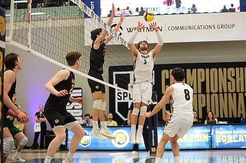 21032025
Markus Law-Heese #3 of the University of Windsor Lancers sets the ball during the Lancers&#x2019; match against the University of Alberta Golden Bears in the 2025 U SPORTS Men's Volleyball Championship at the Brandon University Healthy Living Centre on Friday afternoon. (Tim Smith/The Brandon Sun)