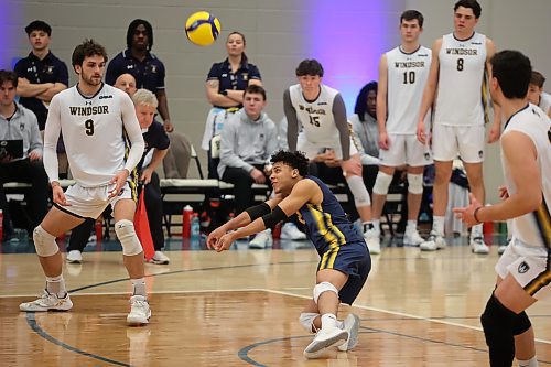 21032025
Quintin Greenidge #2 of the University of Windsor Lancers digs the ball during the Lancers&#x2019; match against the University of Alberta Golden Bears in the 2025 U SPORTS Men's Volleyball Championship at the Brandon University Healthy Living Centre on Friday afternoon. (Tim Smith/The Brandon Sun)