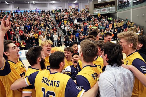 The Brandon University Bobcats swept the No. 1-seed Winnipeg Wesmen in the U Sports men's volleyball championship quarterfinals at the Healthy Living Centre on Friday evening. (Tim Smith/The Brandon Sun)