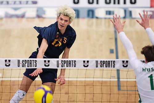 Reed Venning of the Queen's Gaels attacks against the Saskatchewan Huskies during the fourth U Sports men's volleyball quarterfinal on Friday night. (Tim Smith/The Brandon Sun)