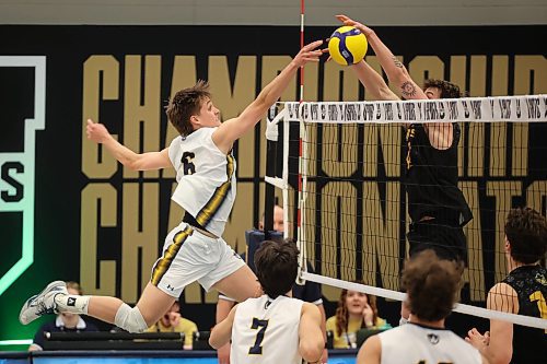 21032025
Noah Koskie #6 of the University of Windsor Lancers tips the ball over the net during the Lancers’ match against the University of Alberta Golden Bears in the 2025 U SPORTS Men's Volleyball Championship at the Brandon University Healthy Living Centre on Friday afternoon. (Tim Smith/The Brandon Sun)