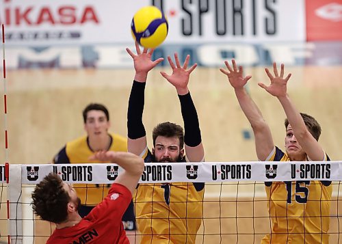 21032025
J.J. Love and Philipp Lauter and Liam Pauls of the Brandon University Bobcats leap to block the ball as Jaxon Rose of the Winnipeg Wesmen swings to put it over the net during their 2025 U SPORTS Men's Volleyball Championship matchup at the Brandon University Healthy Living Centre on Friday evening. (Tim Smith/The Brandon Sun)