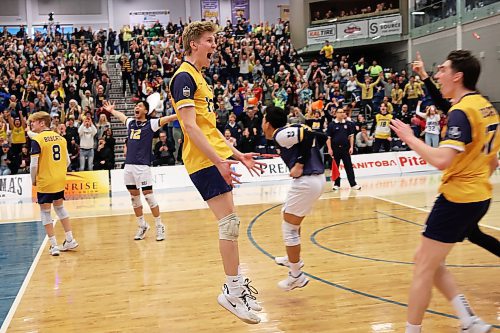 21032025
Liam Pauls #13 of the Brandon University Bobcats leaps in the air as the Bobcats celebrate their 3 set sweep of the Winnipeg Wesmen in their 2025 U SPORTS Men's Volleyball Championship matchup at the Brandon University Healthy Living Centre on Friday evening. (Tim Smith/The Brandon Sun)
