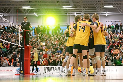 21032025
The Brandon University Bobcats celebrate a point during their 3 set sweep of the Winnipeg Wesmen in their 2025 U SPORTS Men's Volleyball Championship matchup at the Brandon University Healthy Living Centre on Friday evening. (Tim Smith/The Brandon Sun)