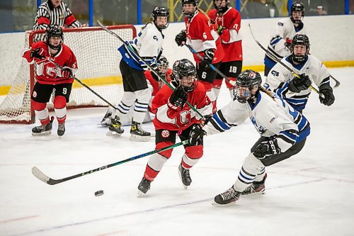 BROOK JONES/FREE PRESS
The Manitoba Women's High School Hockey League hosts the women's high school playoffs at the Seven Oaks Arena in Winnipeg, Man., Friday, March 11, 2025. The CJS Olympiens earned a 2-0 victory over the the Glenlawn Lions in Game 3 to win the best-of-three final series 2-1 and earn the MWHSHL league championship and the Wayne Thompson Cup. Pictured: Olympiens forward Claire Fraser (right) reaches for the puck as Lions forward Neve Halpenny (No. 2) locks her focus on Fraser during second period action.