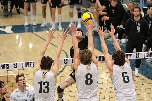 Huskies Emmett Graham attacks against a Vert et Or triple block. (Thomas Friesen/The Brandon Sun)
