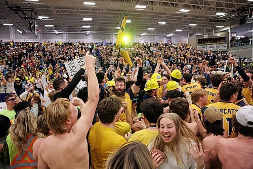 21032025
Fans swarm the court as the Brandon University Bobcats celebrate after winning the 2025 U SPORTS Men's Volleyball Championship gold medal match against University of Alberta Golden Bears at the Brandon University Healthy Living Centre on Sunday evening. The Bobcats defeated the Golden Bears in four sets. (Tim Smith/The Brandon Sun)