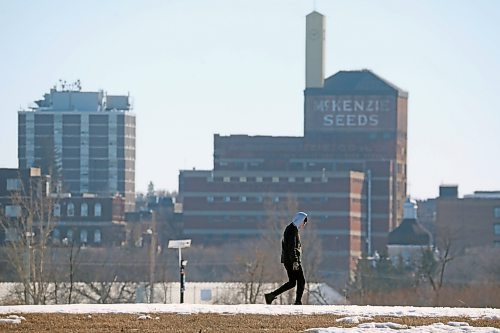 A man out for a walk along the berm at the Riverbank Discovery Centre is framed by downtown Brandon’s skyline. The Brandon Police Service aim to increase their footprint downtown this summer. (file: Tim Smith/The Brandon Sun)