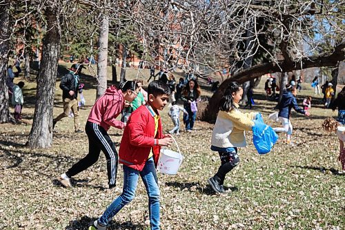Some children pick eggs across the lawns of Assiniboine College’s North Hill Campus for the college’s annual Easter Eggstravaganza Saturday afternoon. (Abiola Odutola/The Brandon Sun)