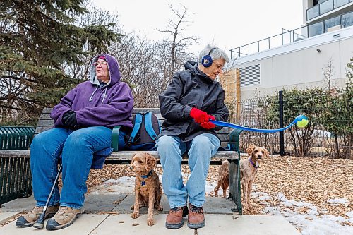 MIKE DEAL / FREE PRESS
Streeter
Gale M’Lot (seated on left of bench) and Carol Briggs with Gus and Sally
Heading to Bonnycastle Dog Park to ask dog owners their opinion on medications designed to prevent Lyme and heartworm disease ahead of the spring bug season — why they do or don’t medicate their pet, their preferred form of prevention and their thoughts on the high cost of the medication.
Reporter: Eva Wasney
250408 - Tuesday, April 08, 2025.