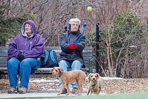 MIKE DEAL / FREE PRESS
Streeter
Gale M’Lot (seated on left of bench) and Carol Briggs with Gus and Sally
Heading to Bonnycastle Dog Park to ask dog owners their opinion on medications designed to prevent Lyme and heartworm disease ahead of the spring bug season — why they do or don’t medicate their pet, their preferred form of prevention and their thoughts on the high cost of the medication.
Reporter: Eva Wasney
250408 - Tuesday, April 08, 2025.