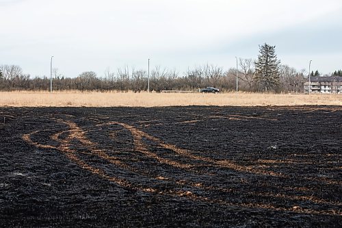 MIKAELA MACKENZIE / FREE PRESS
Charred grass marks where a fire burned at the northeast corner of Sturgeon Road and Silver Avenue in Winnipeg on Monday, April 21, 2025.
Standup.
Winnipeg Free Press 2025