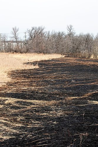MIKAELA MACKENZIE / FREE PRESS
	

Charred grass marks where a fire burned at the northeast corner of Sturgeon Road and Silver Avenue in Winnipeg on Monday, April 21, 2025.

Standup.
Winnipeg Free Press 2025
