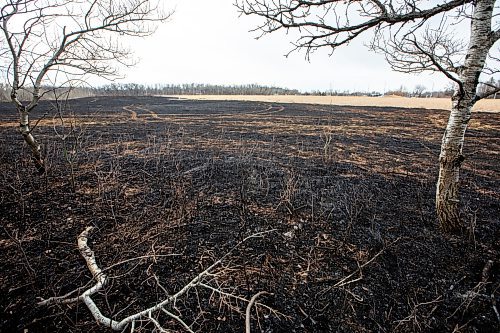 MIKAELA MACKENZIE / FREE PRESS
	

Charred grass marks where a fire burned at the northeast corner of Sturgeon Road and Silver Avenue in Winnipeg on Monday, April 21, 2025.

Standup.
Winnipeg Free Press 2025