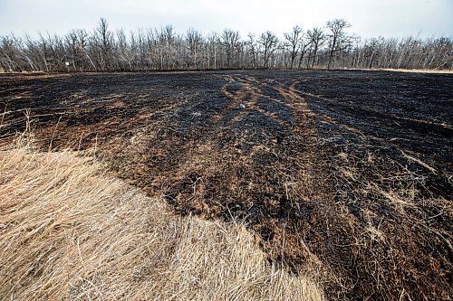 MIKAELA MACKENZIE / FREE PRESS
Charred grass marks where a fire burned at the northeast corner of Sturgeon Road and Silver Avenue in Winnipeg on Monday, April 21, 2025.
Standup.
Winnipeg Free Press 2025
