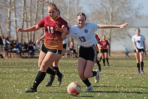 29042025
Lily Ferchoff #16 of the Crocus Plainsmen and Chelsey Hoad #13 of the Vincent Massey Vikings battle for the ball during high school soccer action at Crocus Plains Regional Secondary School on Tuesday afternoon. (Tim Smith/The Brandon Sun)
