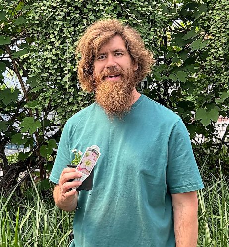 Colleen Zacharias / Free Press
Shea Doherty, operations manager at Our Farm Greenhouse, holds one of his many new plant varieties for this year.