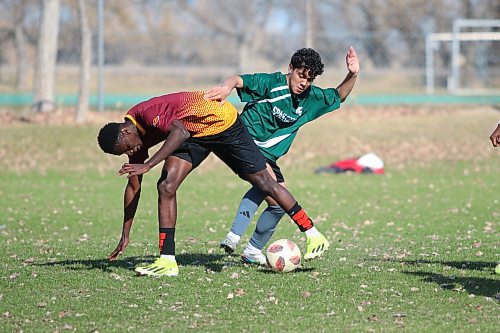 Robinson Diaz Rengifo picks the pocket of a Plainsmen dribbler. (Matt Packwood/The Brandon Sun)